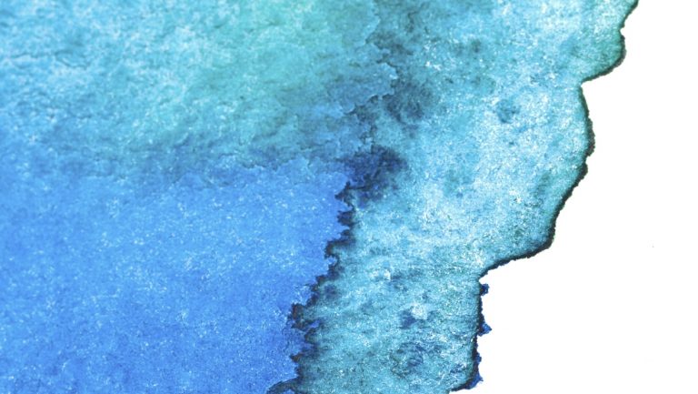 What are teal organisations?